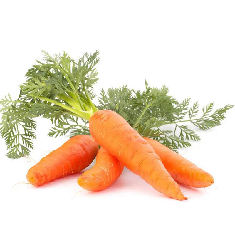 CARROT