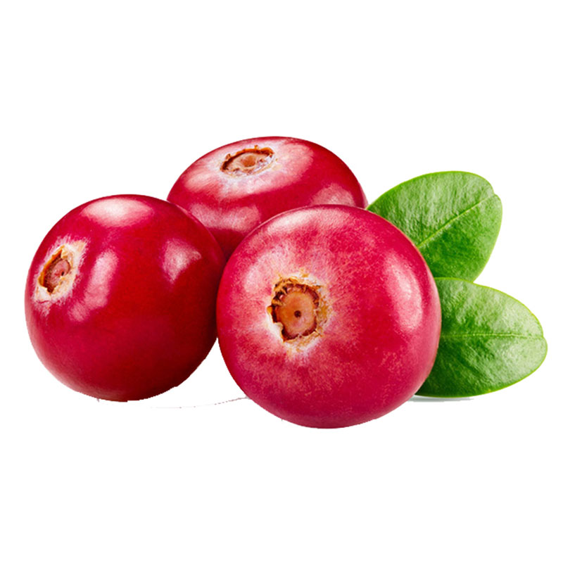 Cranberry